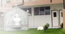 edifortesis