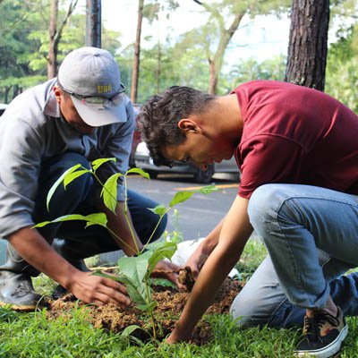 Becarios desarrollan actividades en apoyo al medio ambiente 