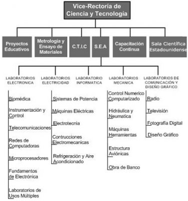 Organigrama del CITT