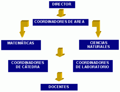 Organización Ciencias Básicas