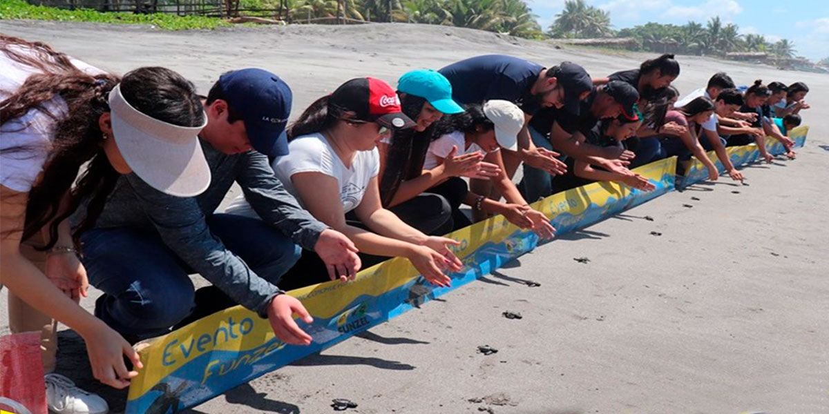 Voluntariado UDB en acción 